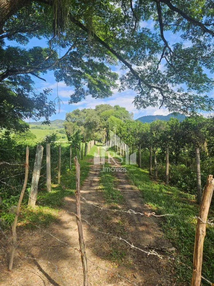 Sítio, 2 quartos, 5 hectares - Foto 2