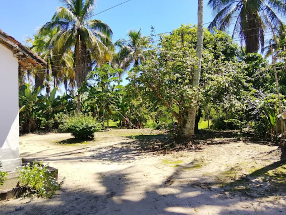 Sítio, 2 quartos, 5 hectares - Foto 6