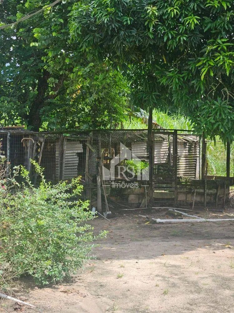 Sítio, 2 quartos, 5 hectares - Foto 14