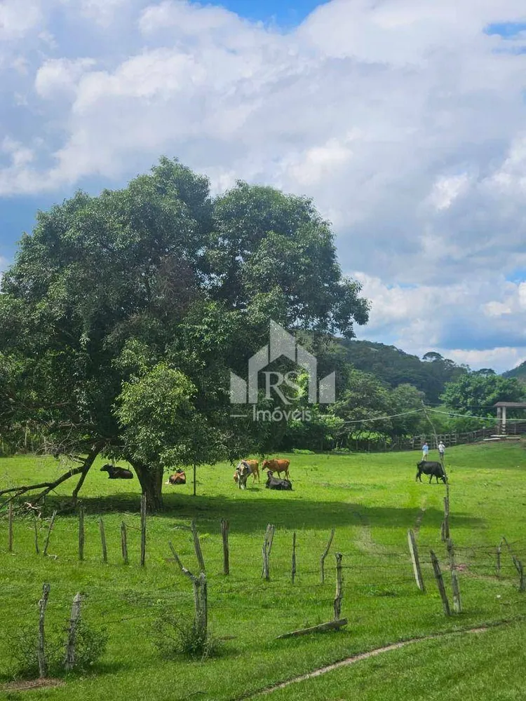Sítio, 2 quartos, 5 hectares - Foto 13