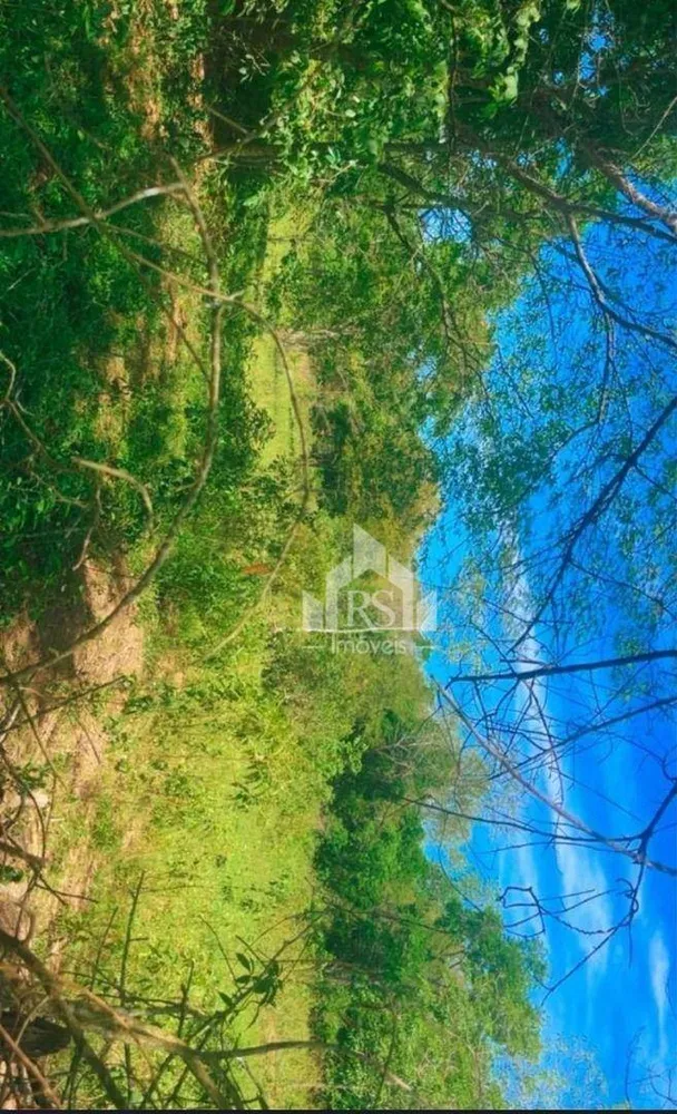Terreno, 10000 m² - Foto 5
