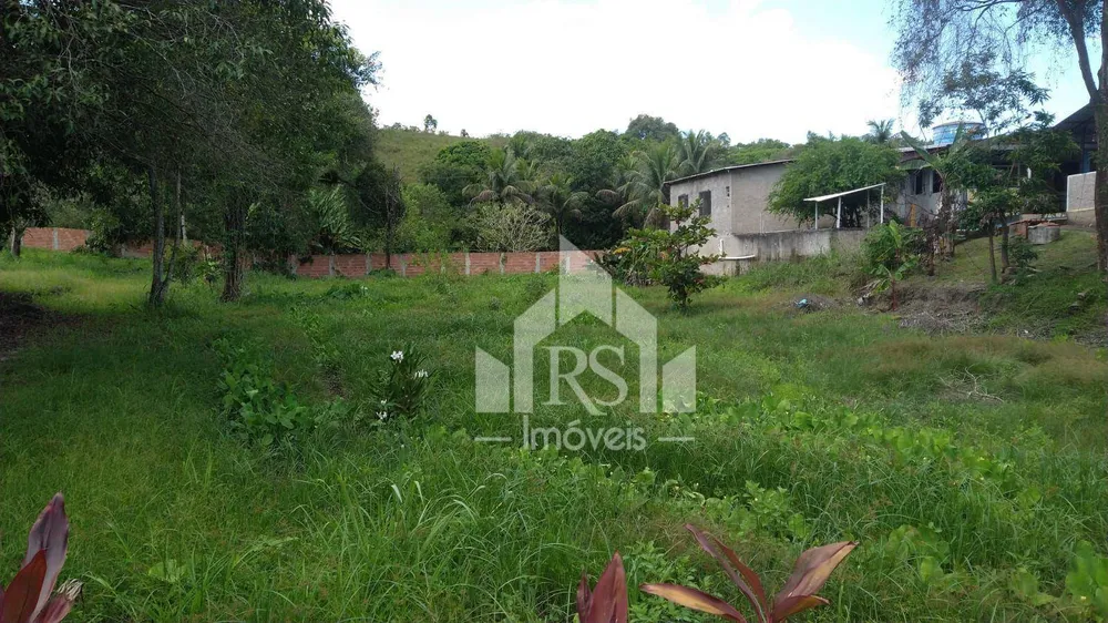 Terreno, 4600 m² - Foto 7