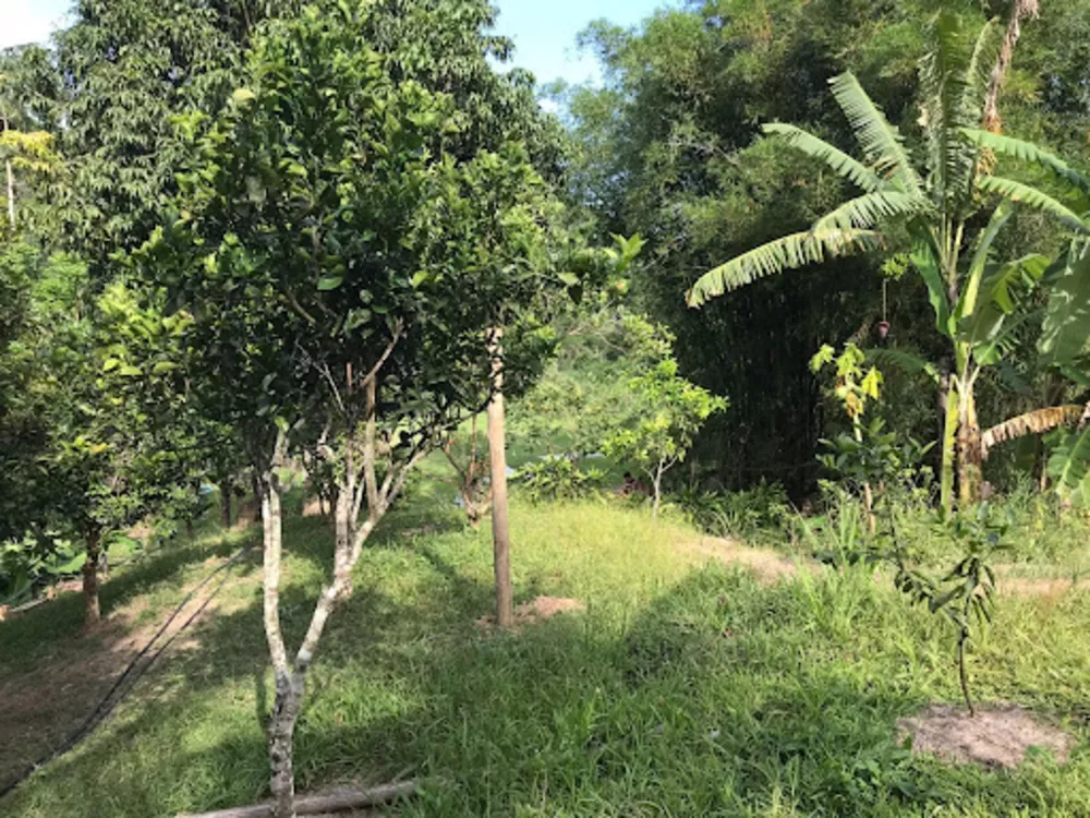 Sítio, 1 quarto, 4350 m² - Foto 11