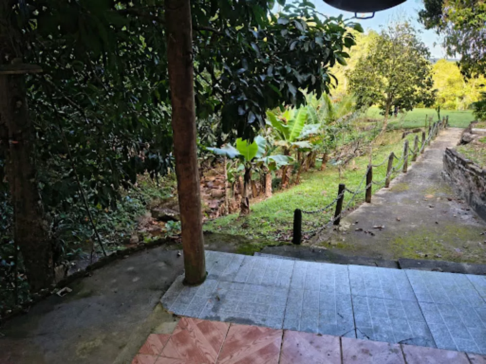 Sítio, 1 quarto, 4350 m² - Foto 17