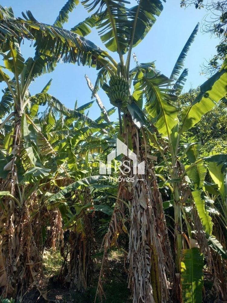 Sítio, 3 quartos, 8 hectares - Foto 18