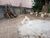 Loteamento e Condomínio, 348 m² - Foto 2