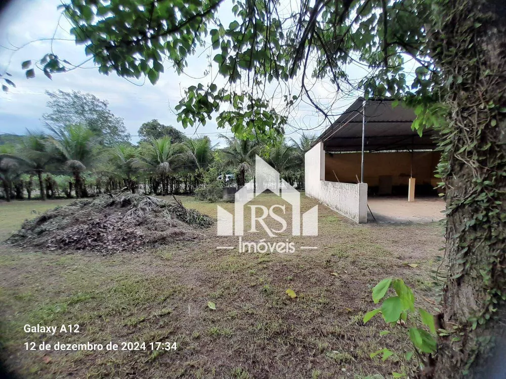 Sítio, 1 quarto, 6500 m² - Foto 7