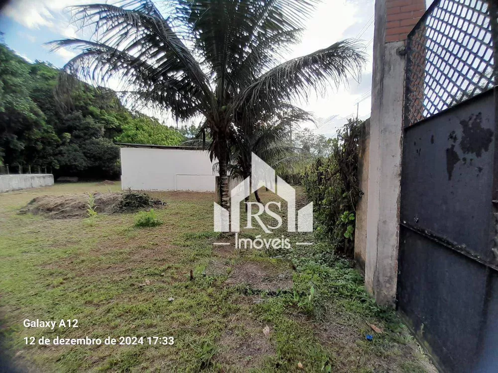 Sítio, 1 quarto, 6500 m² - Foto 2