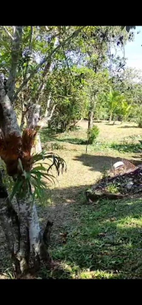 Chácara, 2 quartos, 1000 m² - Foto 1