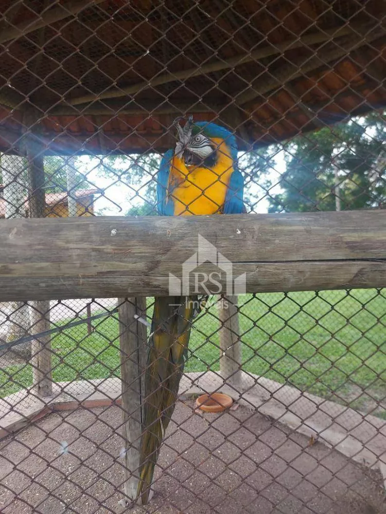 Sítio, 29 quartos, 2 hectares - Foto 34