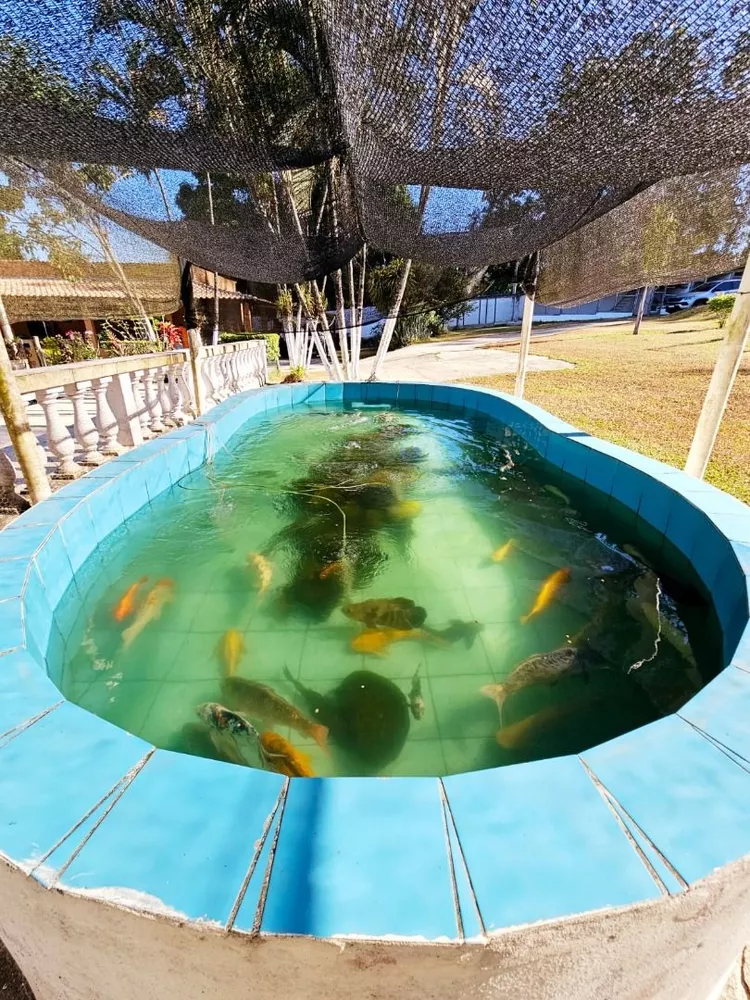 Sítio, 4 quartos, 10000 m² - Foto 24