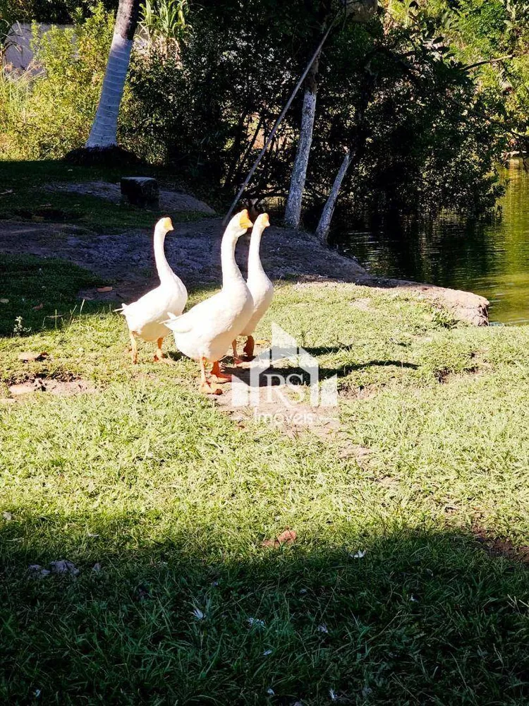 Sítio, 4 quartos, 10000 m² - Foto 39