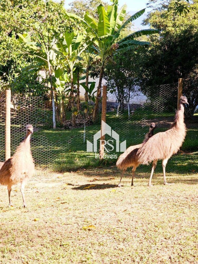 Sítio, 4 quartos, 10000 m² - Foto 2