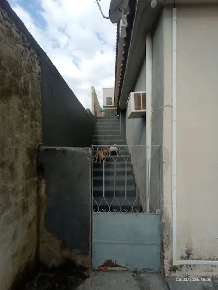 Casa, 3 quartos, 360 m² - Foto 15