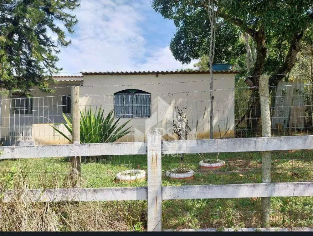 Chácara, 3 quartos, 5000 m² - Foto 3