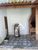 Casa, 4 quartos, 200 m² - Foto 16