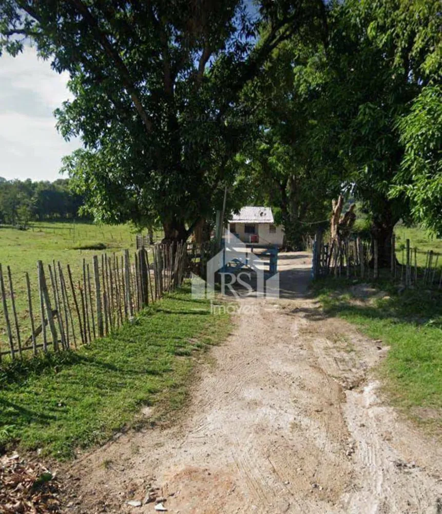 Sítio, 16 hectares - Foto 16