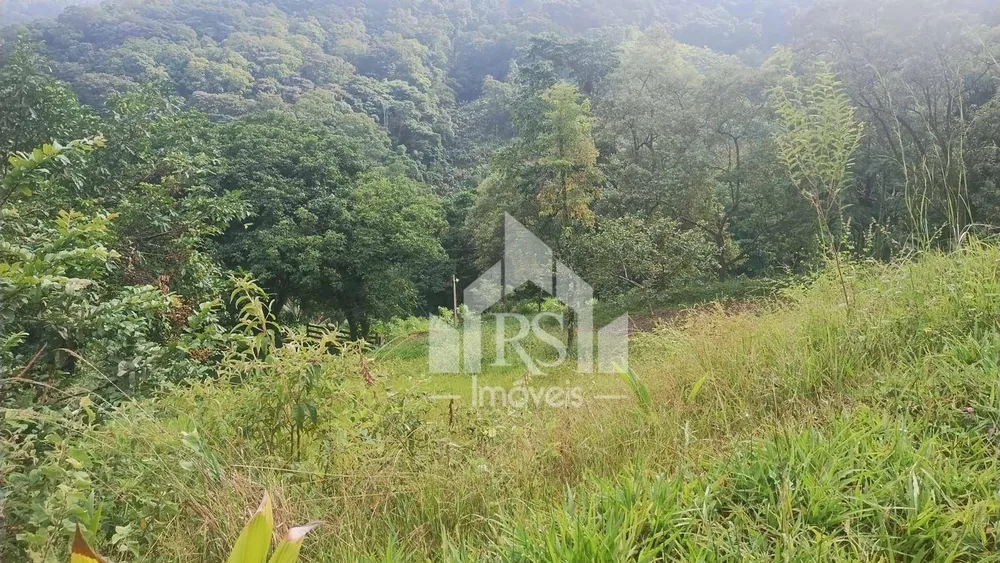 Chácara, 2 quartos, 24 hectares - Foto 6