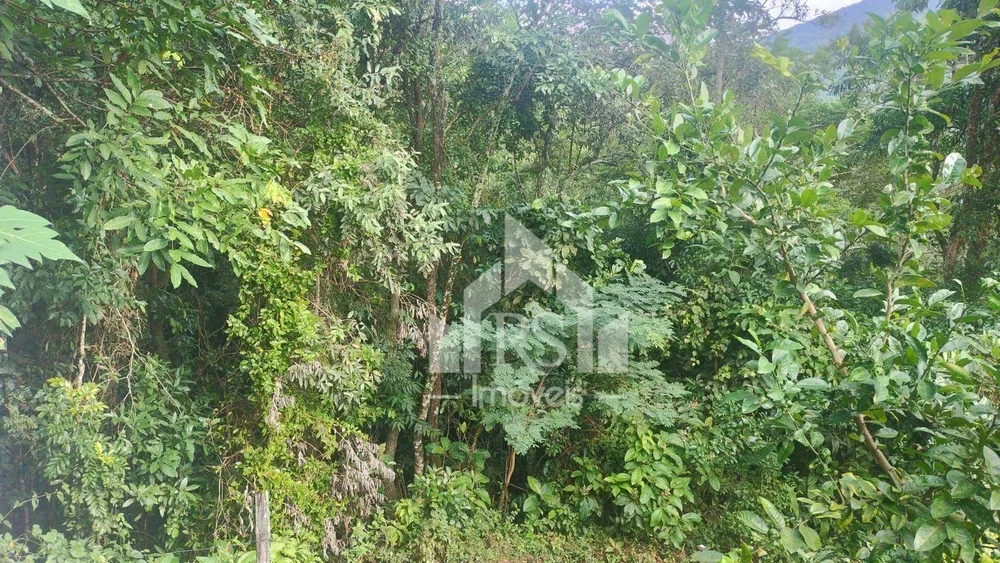 Chácara, 2 quartos, 24 hectares - Foto 15