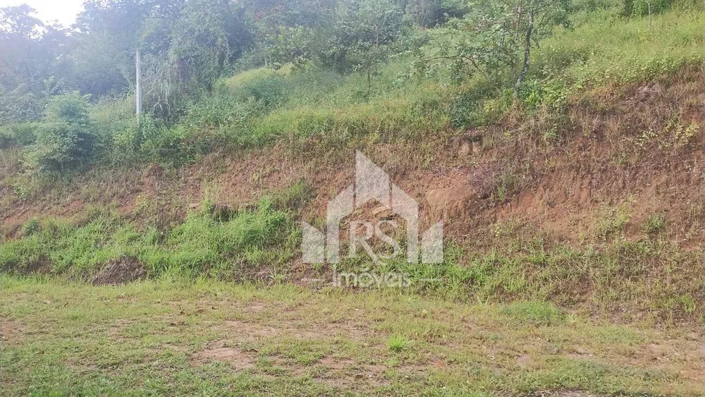 Chácara, 2 quartos, 24 hectares - Foto 7