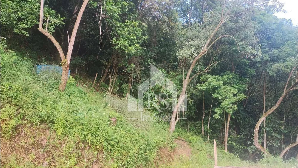 Chácara, 2 quartos, 24 hectares - Foto 8
