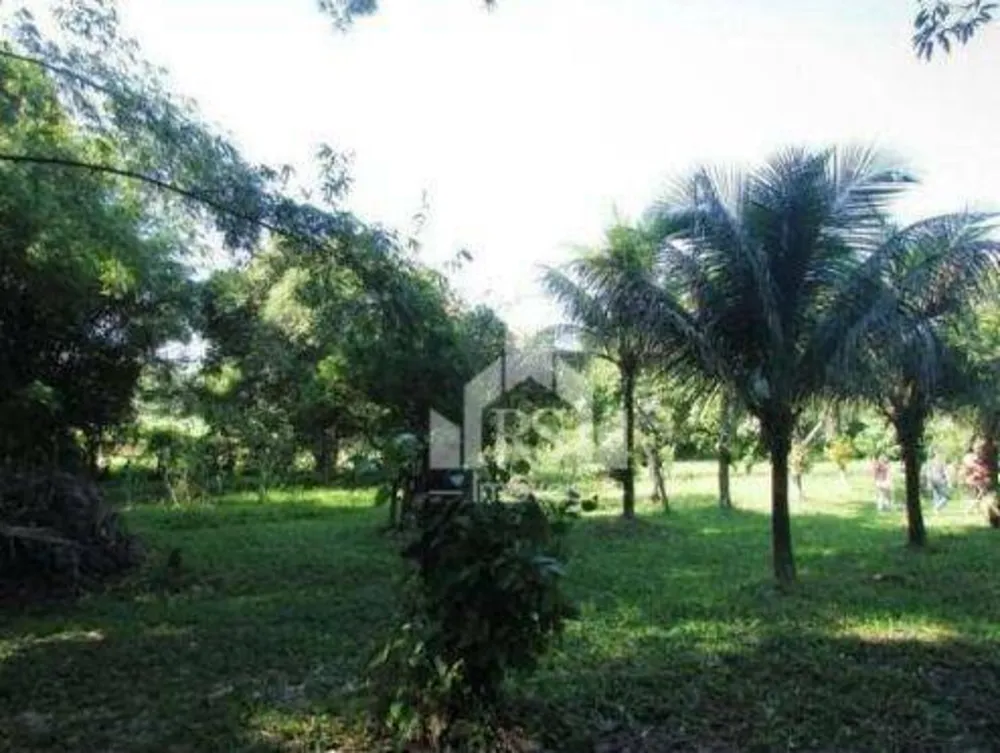 Chácara, 2 quartos, 8200 m² - Foto 1