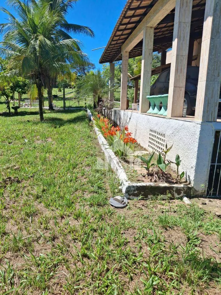 Chácara, 3 quartos, 1 hectares - Foto 14