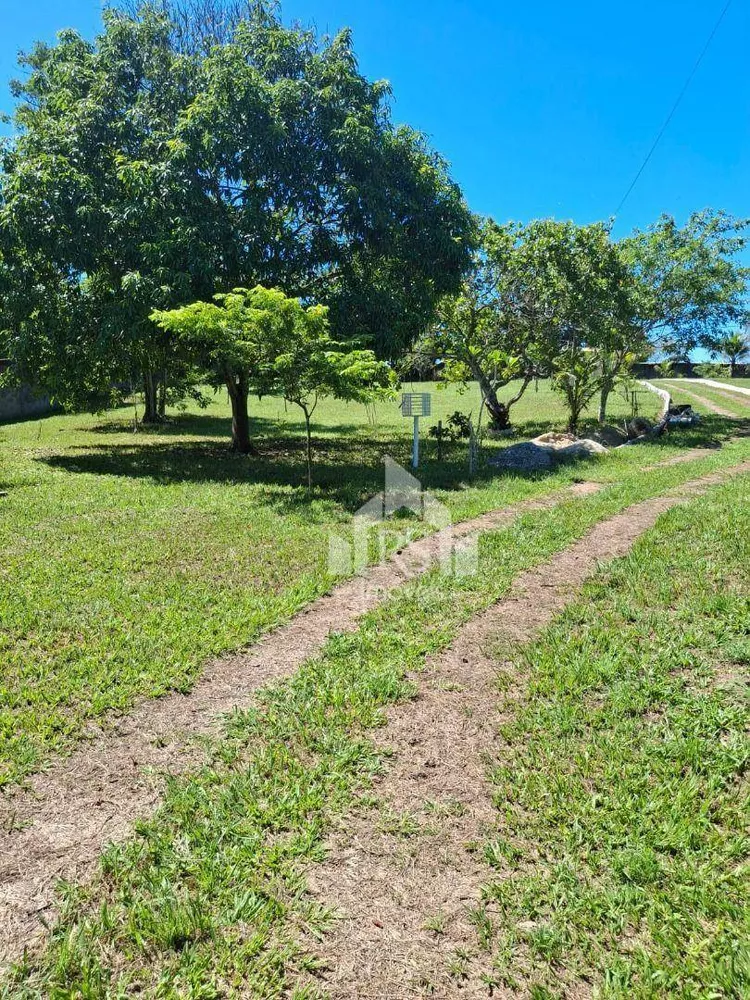 Chácara, 3 quartos, 1 hectares - Foto 11