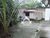 Casa, 3 quartos, 180 m² - Foto 3