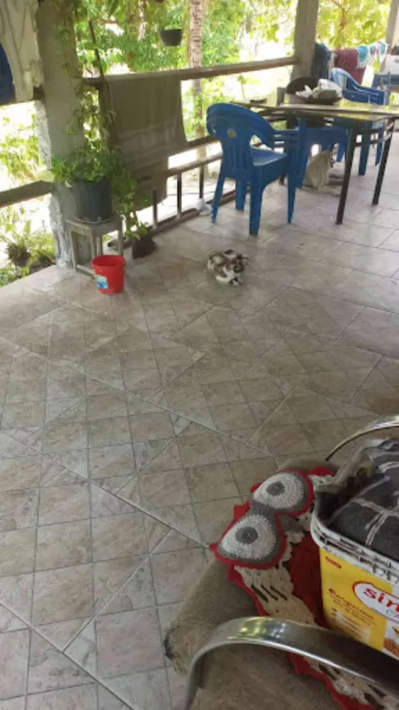 Sítio, 2 quartos, 80 m² - Foto 9