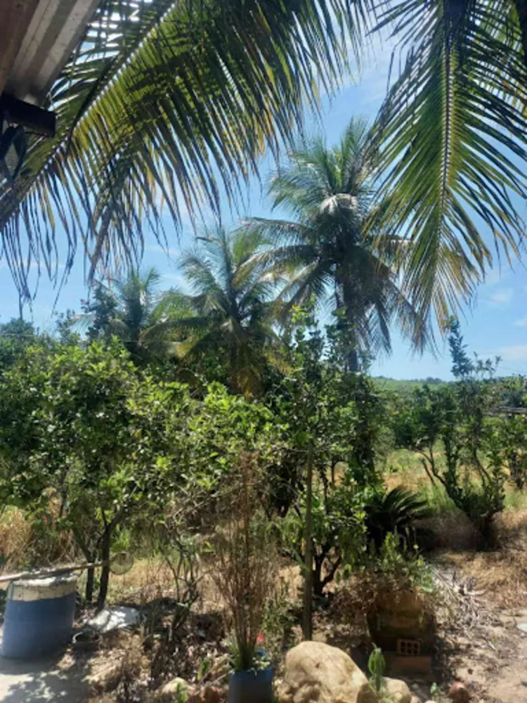 Sítio, 2 quartos, 80 m² - Foto 26