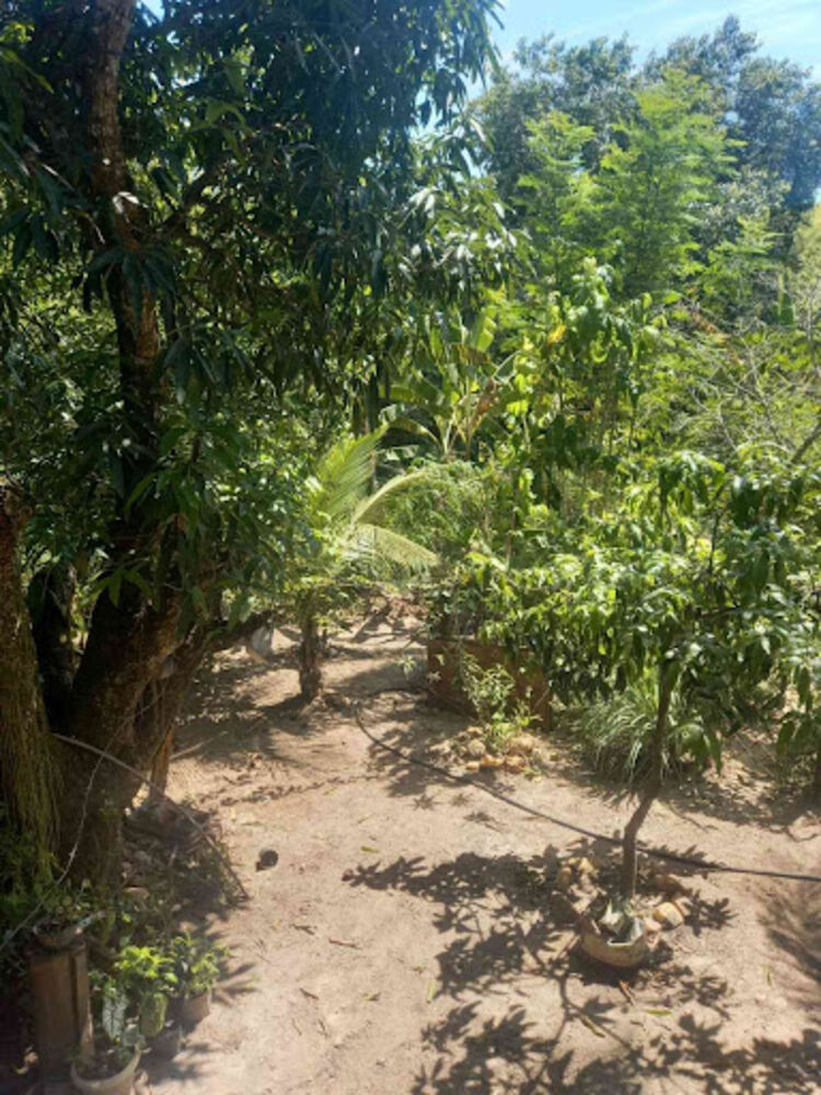 Sítio, 2 quartos, 80 m² - Foto 29