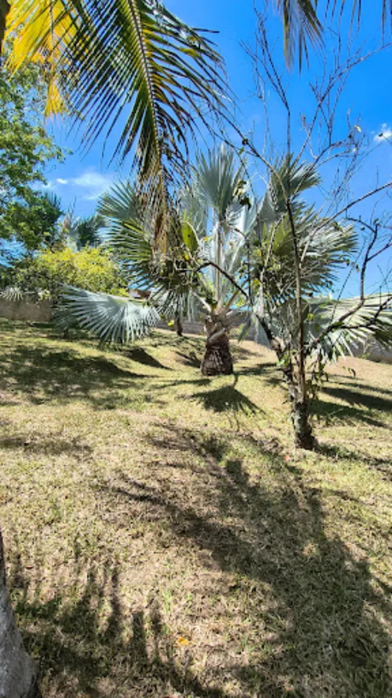 Sítio, 3 quartos, 6547 m² - Foto 8