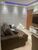 Apartamento, 2 quartos, 44 m² - Foto 2