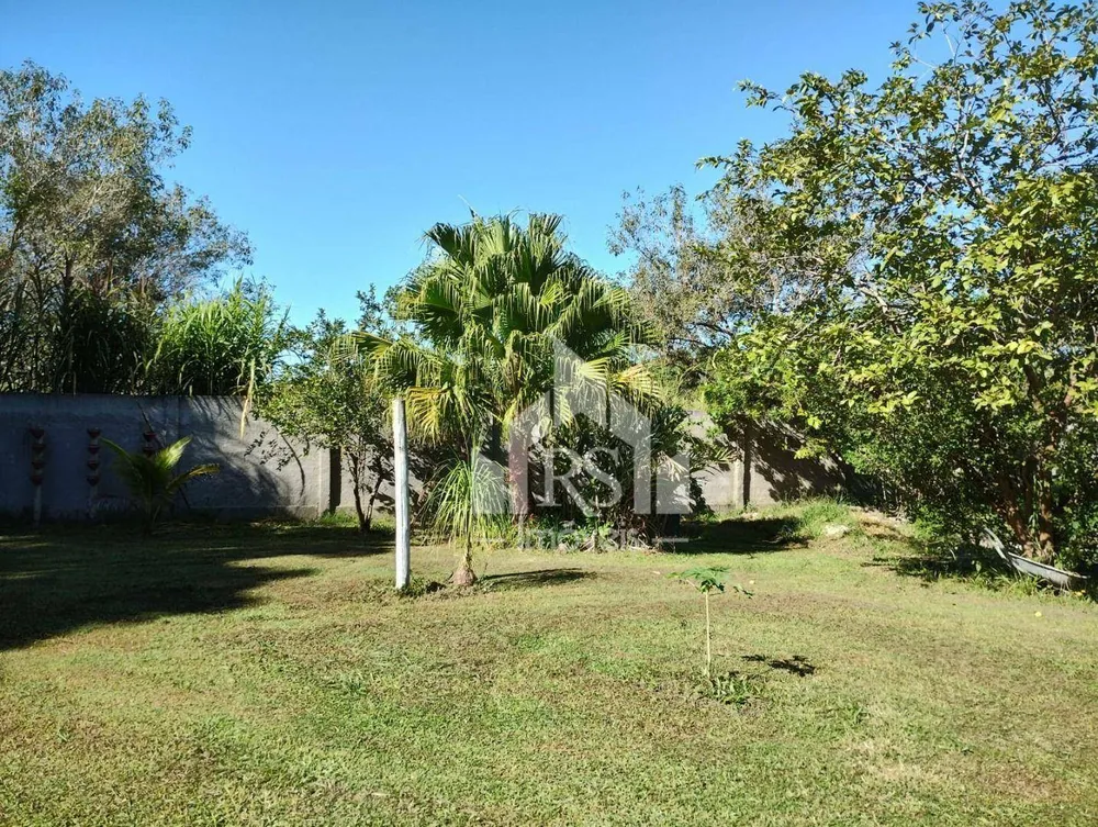 Sítio, 3 quartos, 10000 m² - Foto 8