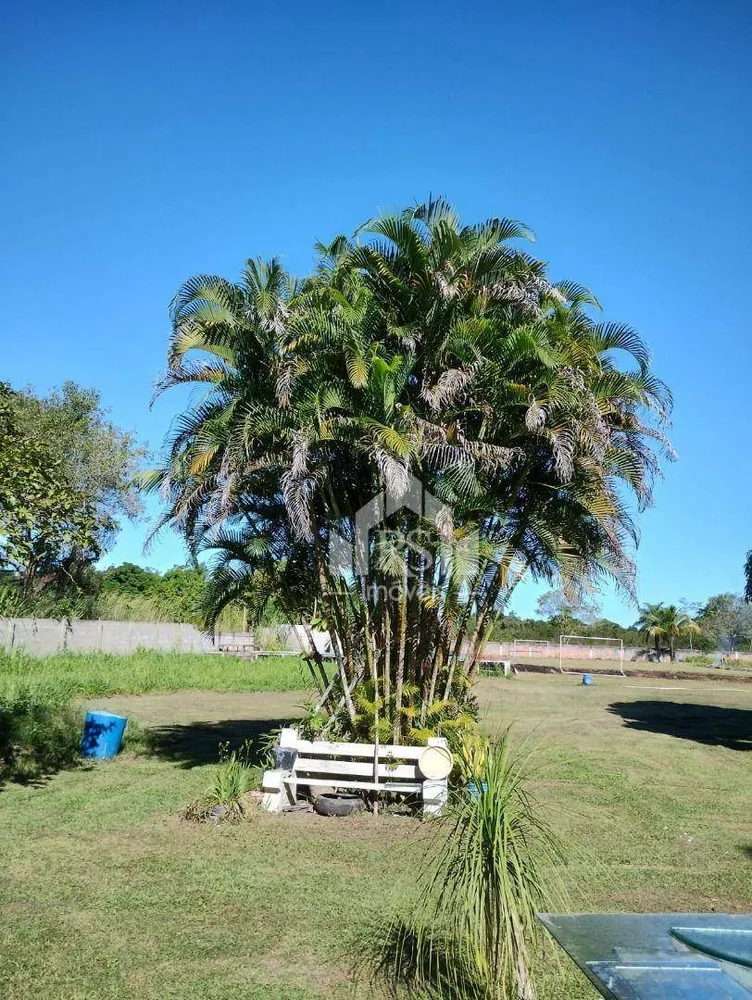 Sítio, 3 quartos, 10000 m² - Foto 6
