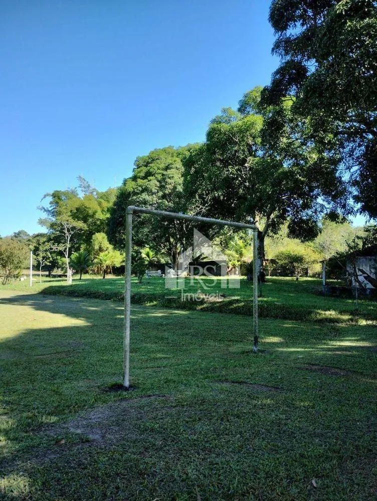Sítio, 3 quartos, 10000 m² - Foto 10