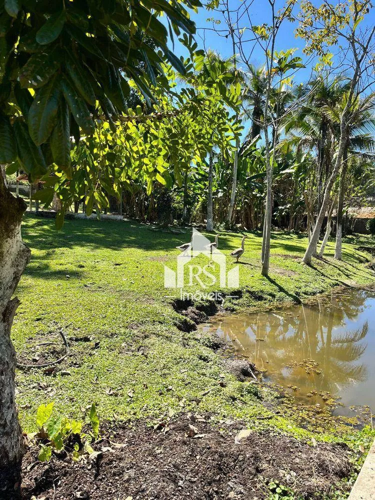 Sítio, 3 hectares - Foto 32