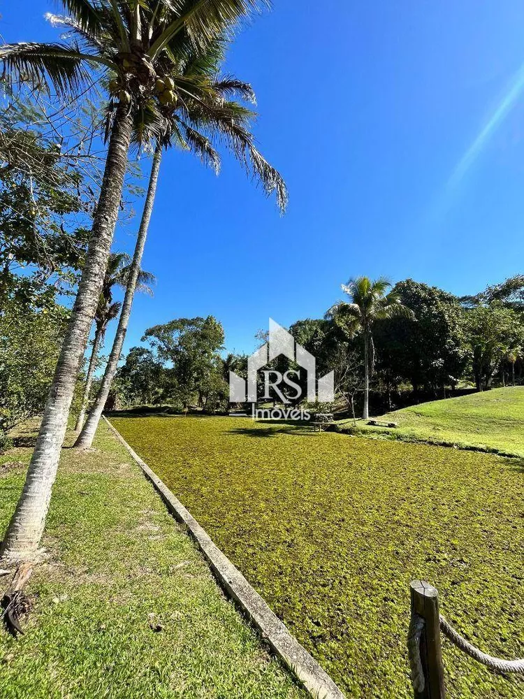 Sítio, 3 hectares - Foto 25