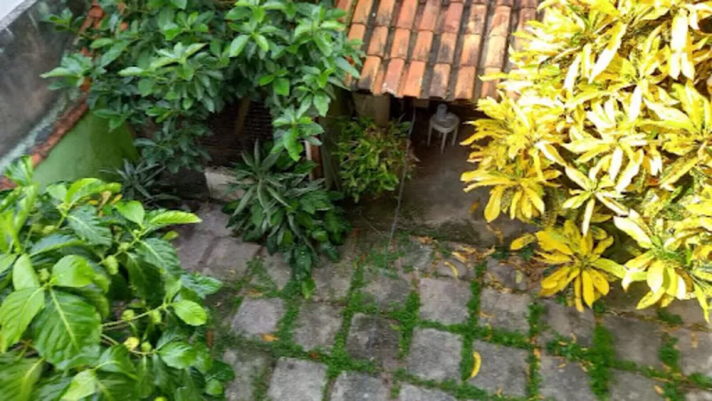 Casa, 4 quartos, 250 m² - Foto 12
