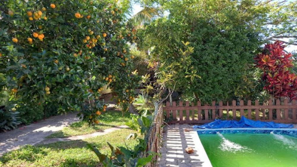 Casa, 4 quartos, 250 m² - Foto 4