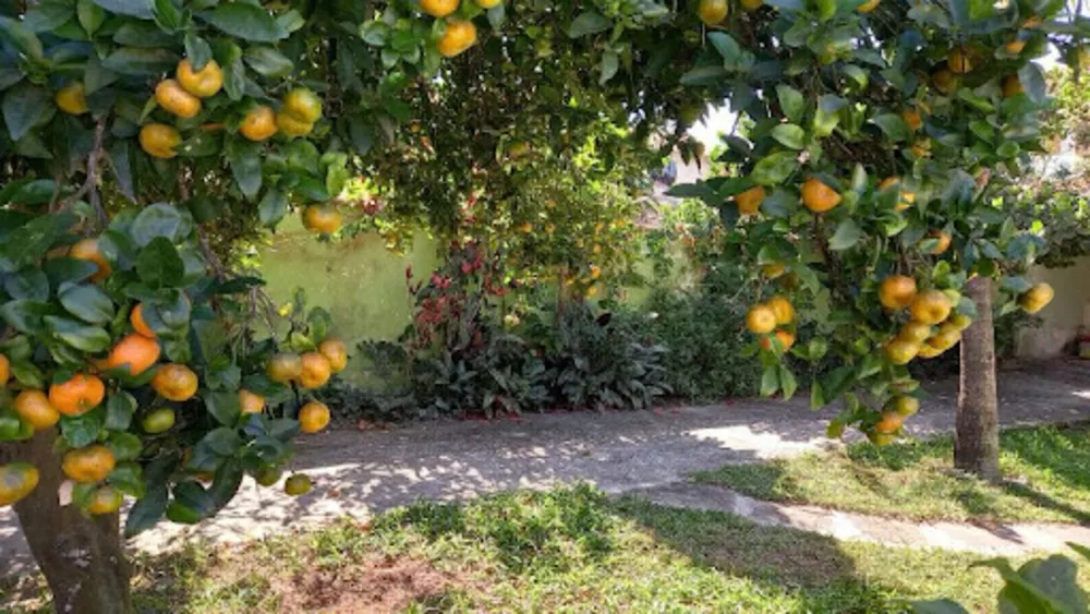 Casa, 4 quartos, 250 m² - Foto 14