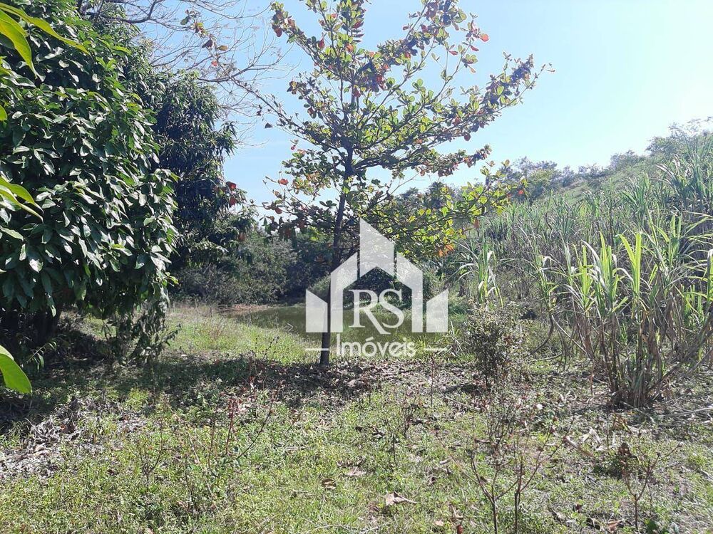 Sítio, 3 quartos, 10 hectares - Foto 13