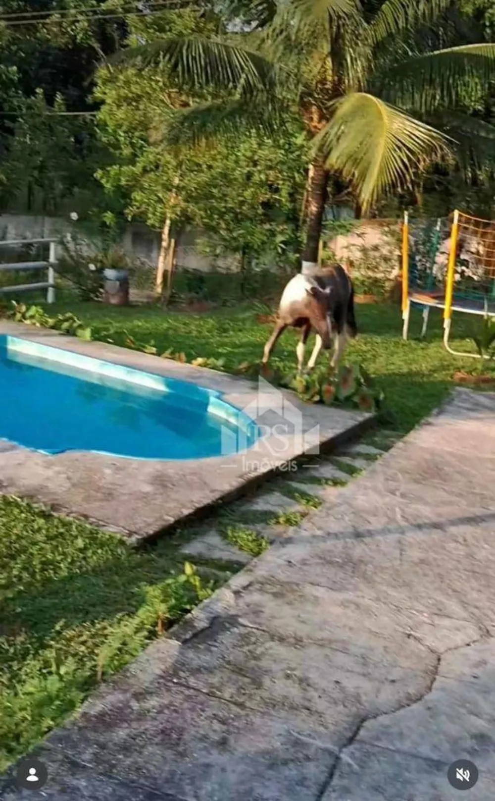 Sítio, 3 quartos, 2 m² - Foto 14