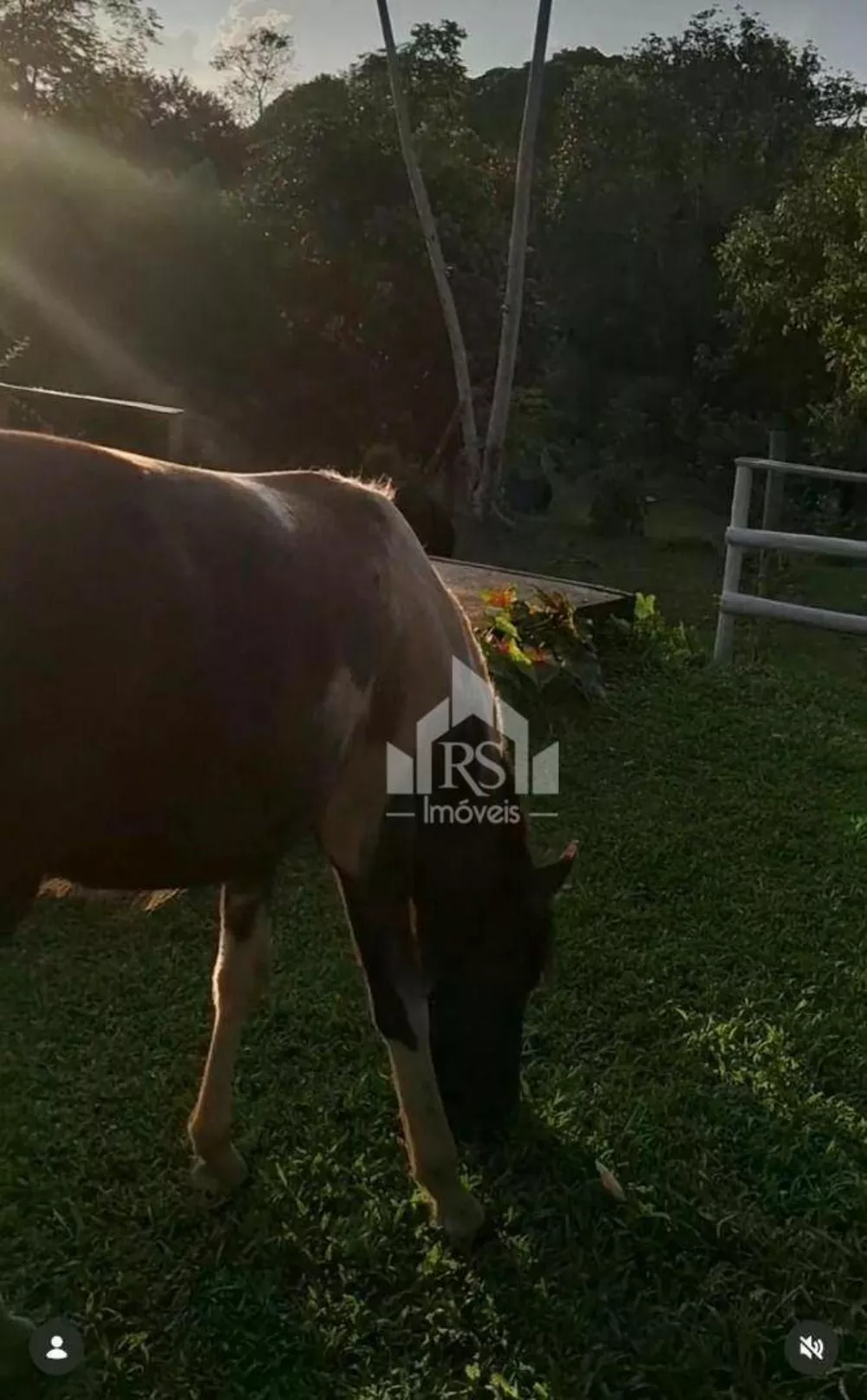 Sítio, 3 quartos, 2 m² - Foto 21