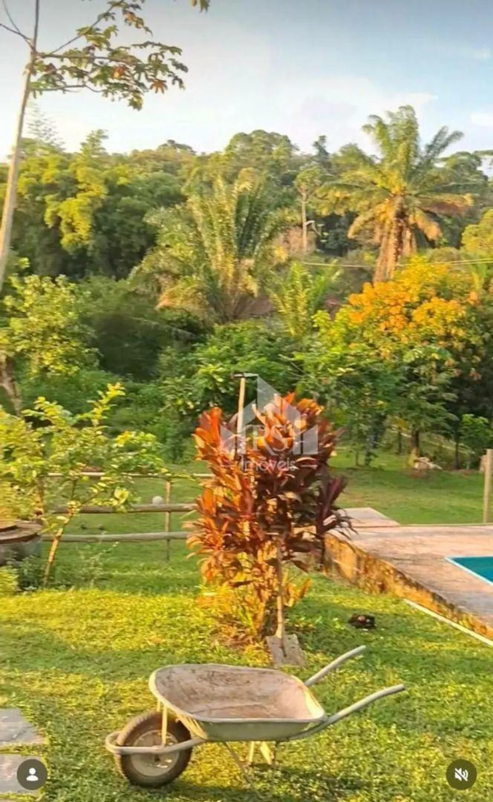 Sítio, 3 quartos, 2 m² - Foto 12