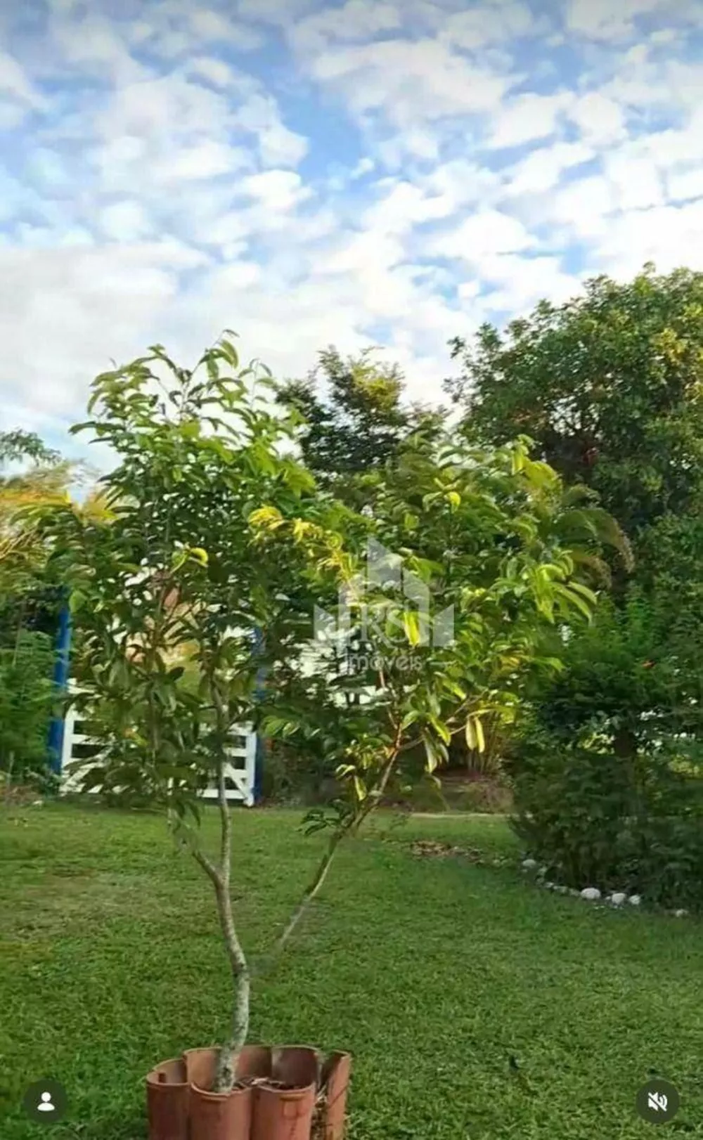 Sítio, 3 quartos, 2 m² - Foto 15