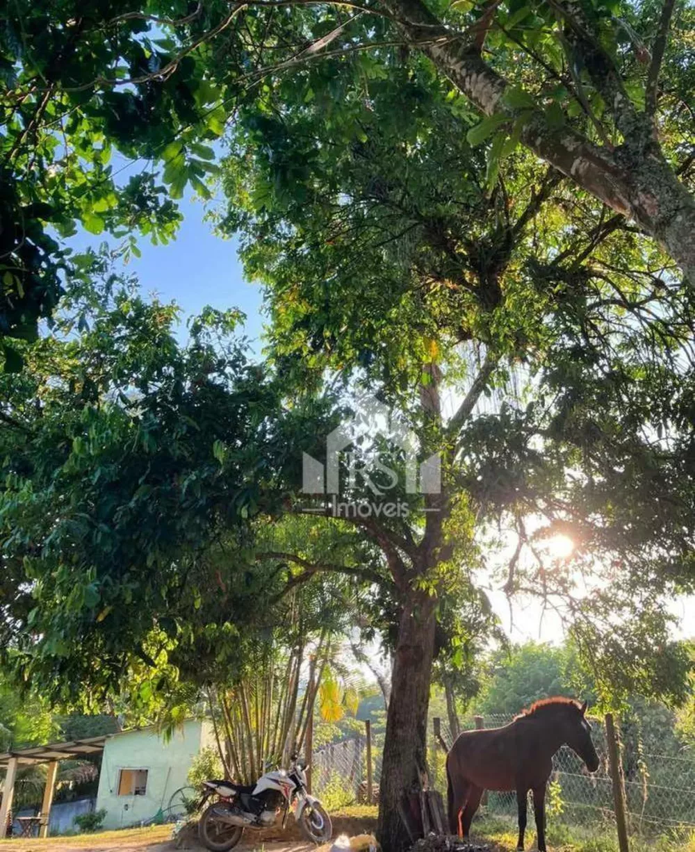 Sítio, 3 quartos, 2 m² - Foto 8