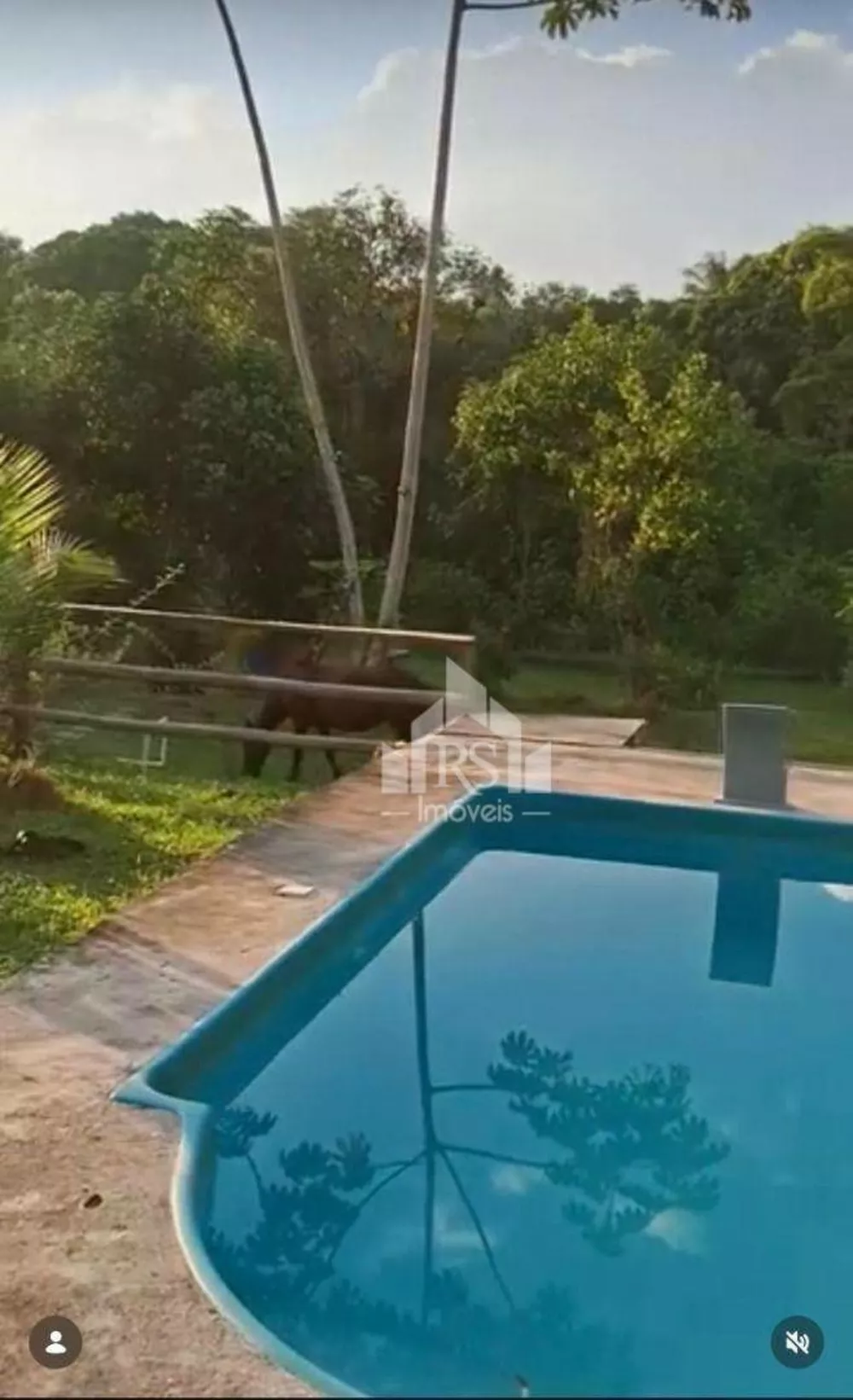 Sítio, 3 quartos, 2 m² - Foto 2