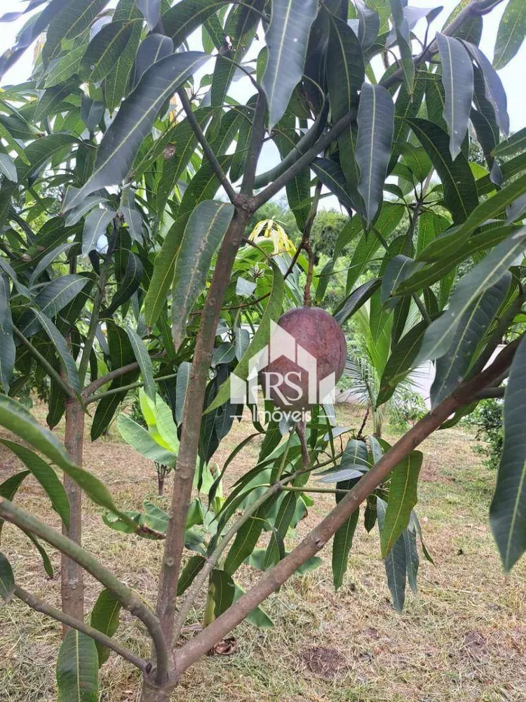 Terreno, 15 m² - Foto 8